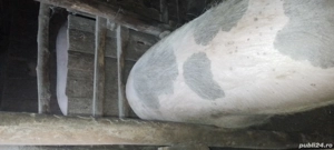 De vînzare. - imagine 5