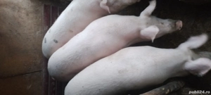 De vînzare. - imagine 3