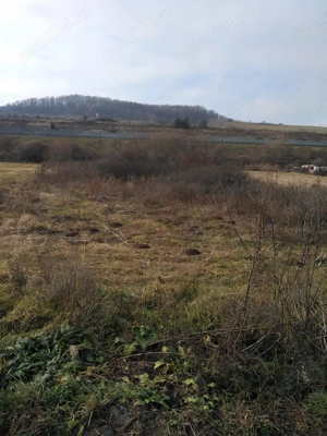 Teren  de vanzare Vlaha