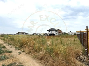 Teren Intravilan pe Strada Bega/Com. Berceni – Locația Perfectă pentru Casa Ta