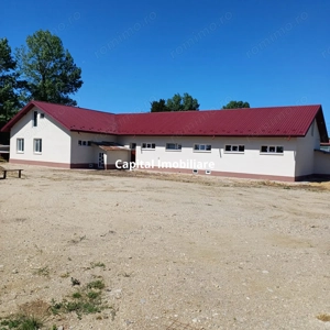 Spațiu comercial generos, la drum principal, localitatea Daia - imagine 2