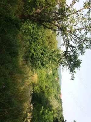 Vând teren, Jud. Vâlcea, dist.7kilomotri. - imagine 2