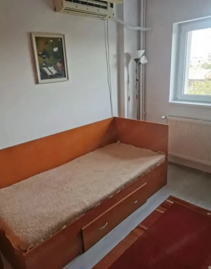 Apartament 3 camere,centrală proprie,Tineretului Pet Friendly - imagine 3