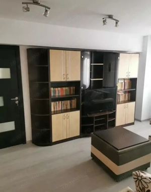 Apartament 3 camere,centrală proprie,Tineretului Pet Friendly - imagine 2