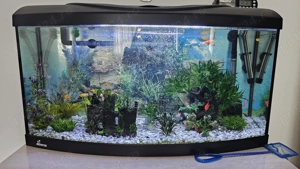 Acvariu 80 litri