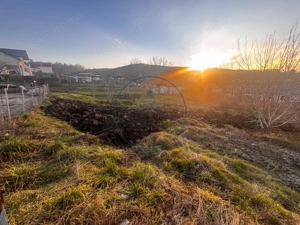 Teren Intravilan 700mp valea jelnei - imagine 5