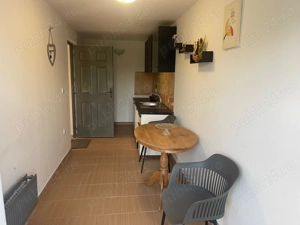 Casa de vanzare Probota  - imagine 8