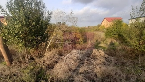 Teren foarte bun în 1 Decembrie Ilfov - imagine 17