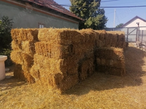 Baloti paie de vanzare