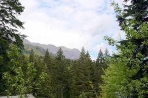 Teren intravilan  de vanzare Sinaia- Furnica - imagine 6