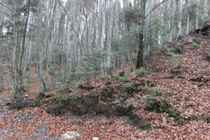 Teren intravilan  de vanzare Sinaia- Furnica - imagine 2