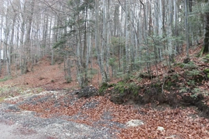 Teren intravilan  de vanzare Sinaia- Furnica - imagine 7