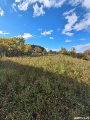 Teren de Vanzare