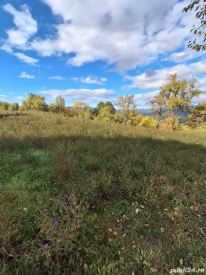 Teren de Vanzare - imagine 5