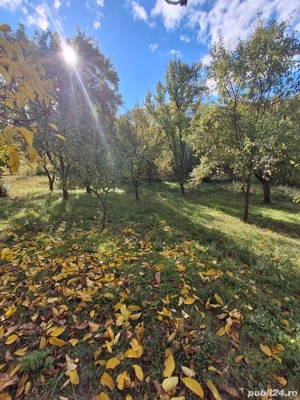 Teren de Vanzare - imagine 8