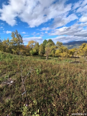 Teren de Vanzare - imagine 6