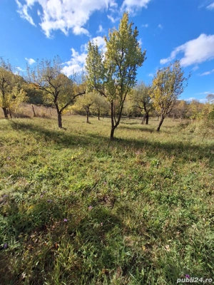 Teren de Vanzare - imagine 7