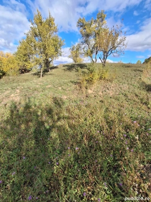 Teren de Vanzare - imagine 4