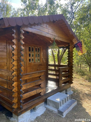 Livada prun Cernuc  - imagine 4