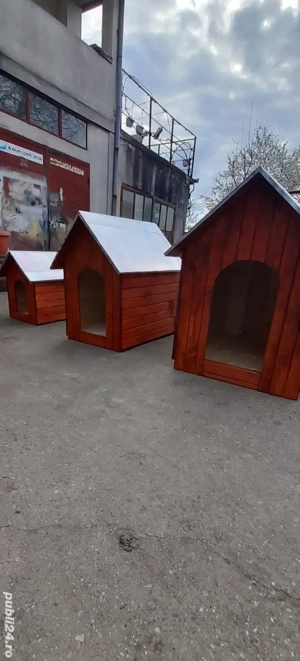 custi pentru caini - imagine 2