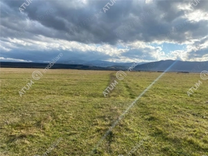 Teren de vanzare 607 mp in Sibiu pretabil investitie - imagine 9