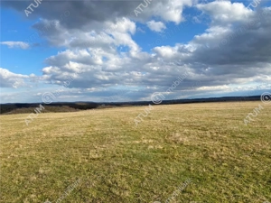 Teren de vanzare 607 mp in Sibiu pretabil investitie - imagine 8