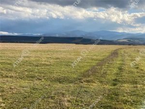 Teren de vanzare 607 mp in Sibiu pretabil investitie - imagine 3