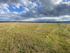 Teren de vanzare 607 mp in Sibiu pretabil investitie - imagine 5