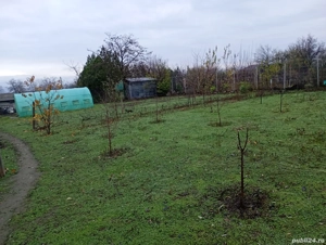 Vatră de casă - imagine 3