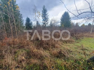 Teren extravilan 1000 mp Statiunea Climaterica Sambata de Sus - imagine 3