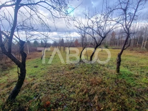 Teren extravilan 1000 mp Statiunea Climaterica Sambata de Sus - imagine 2