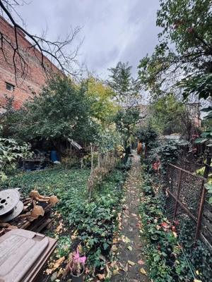 AV664 Apartament 1 camera, Iosefin vis-a-vis de Piata Iosefin - imagine 2