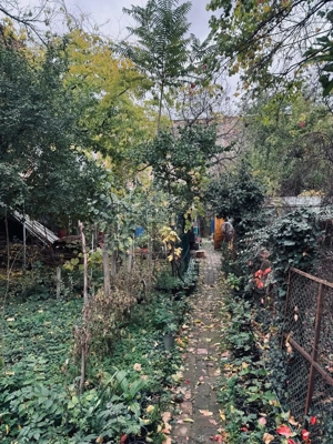 AV664 Apartament 1 camera, Iosefin vis-a-vis de Piata Iosefin - imagine 3