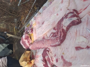 Vînd porci și purcei Coșoveni - imagine 4