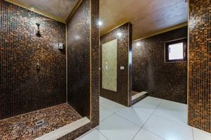 Vilă cu 5 camere, piscină și 805 mp teren, zona Vladimirescu, Arad - imagine 9