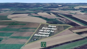 Teren extravilan de 5,99 ha la 200 m de Mureș, ideal pentru balastieră în Ususău