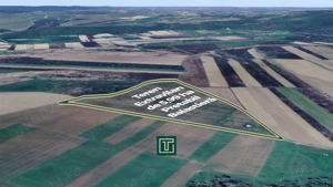 Teren extravilan de 5,99 ha la 200 m de Mureș, ideal pentru balastieră în Ususău - imagine 2