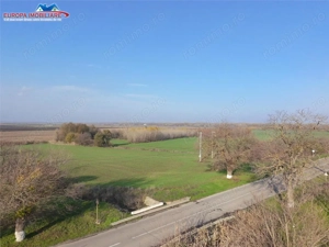 Teren de vanzare in Delta Dunarii loc. Nufaru - imagine 5