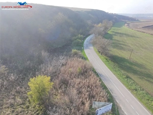 Teren de vanzare in Delta Dunarii loc. Nufaru - imagine 6