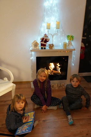 vand cu pret redus Semineu perfect functional (Biosemineu) deosebit. - imagine 2