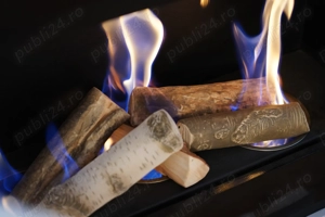 vand cu pret redus Semineu perfect functional (Biosemineu) deosebit. - imagine 5