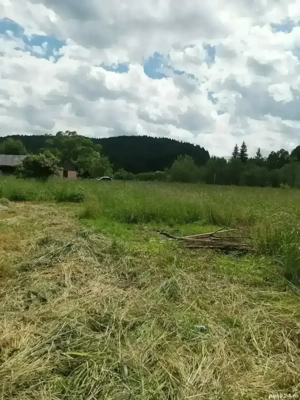 Teren vânzare Pojorâta, Valea Putnei 