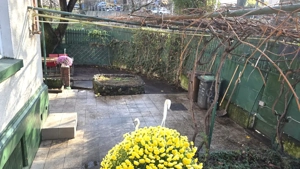 Casa Floreasca-lac - imagine 5