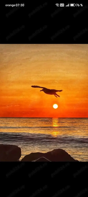 Curățenie la domiciliu 