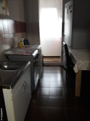 Ap 2 camere etj 3,zona Panaur- Bălcescu  - imagine 10