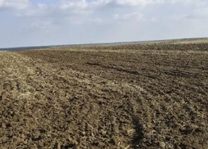 teren extravilan Varvoru de Jos, jud Dolj