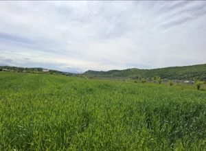 Vand teren extravilan  - imagine 2