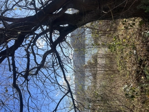 Teren intravilan 2.255 mp   zonă turistică Clisura Dunării, Liborajdea - imagine 5