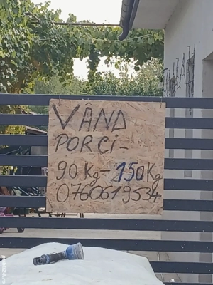 Vand porci 