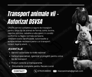 Transport Animale certificat - imagine 2